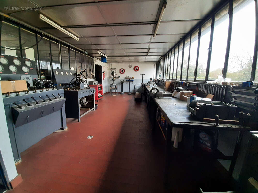 Commerce à LA ROCHE-SUR-YON