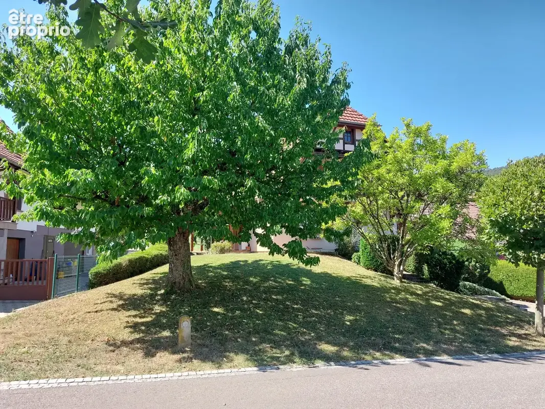 Belle maison de 140m2 en situation calme - photo 2