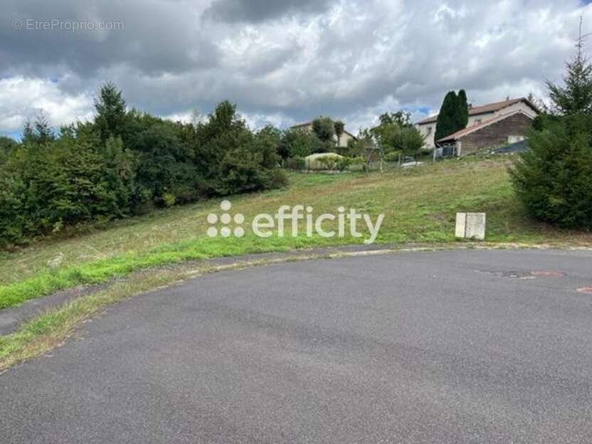 Terrain à LA MONNERIE-LE-MONTEL