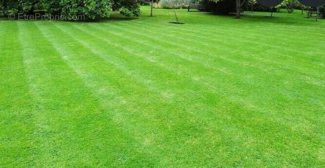 Terrain à SAINTE-CECILE