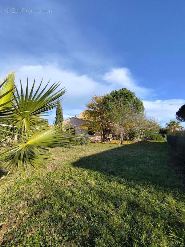 Photo 4 - Terrain à VIDAUBAN