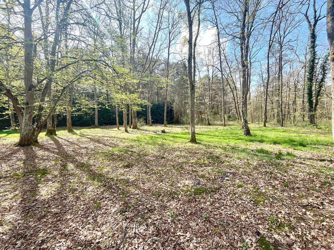 Maison à NOISY-SUR-ECOLE