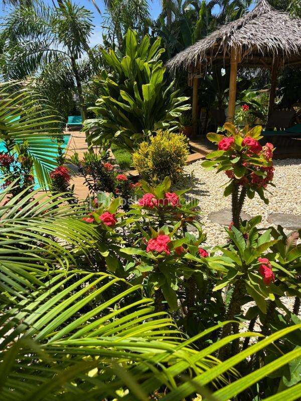 Maison à SAINT-FRANCOIS