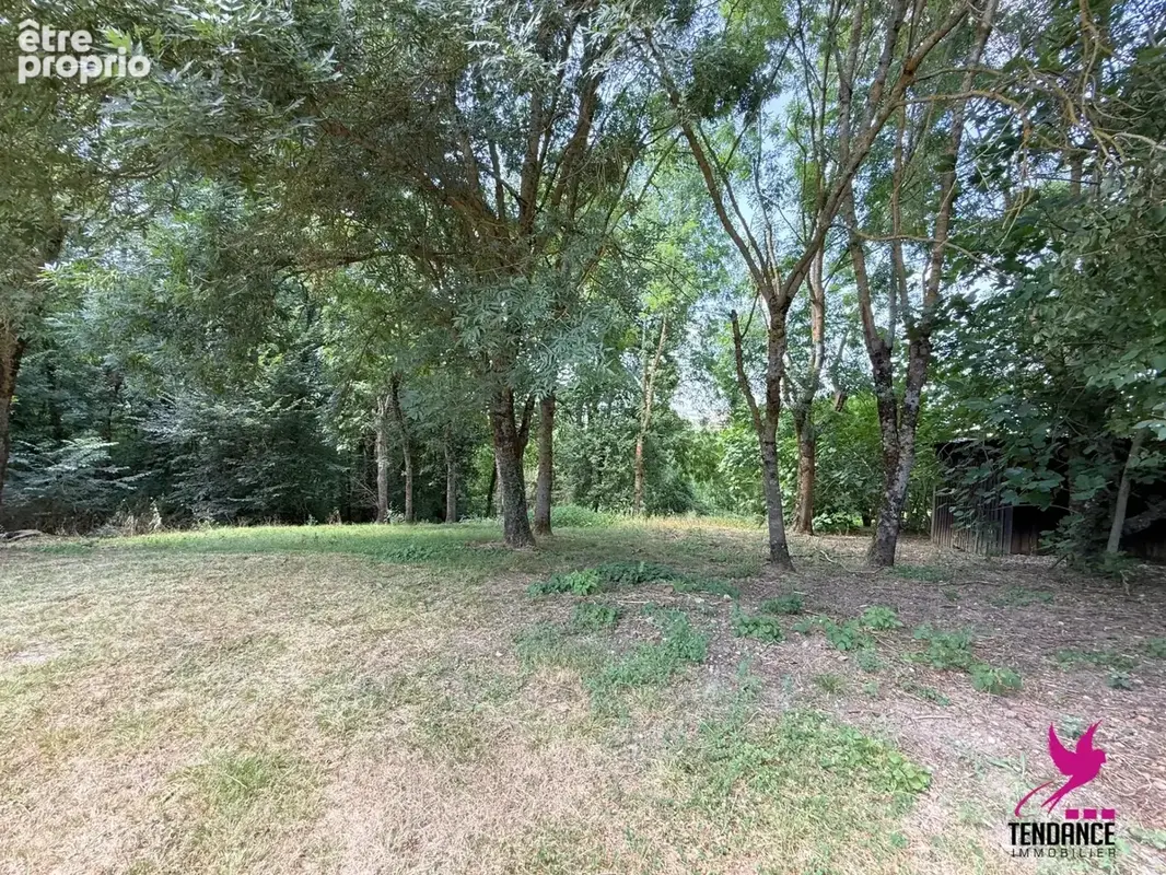 Joli Terrain diffus et arboré de 1100 m². - photo 5