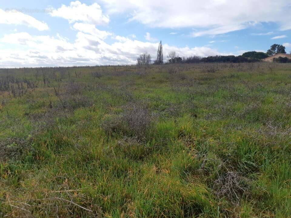 Terrain à SAINT-JEAN