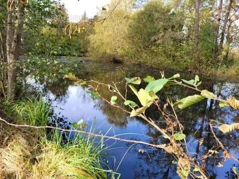 Terrain à STRASBOURG