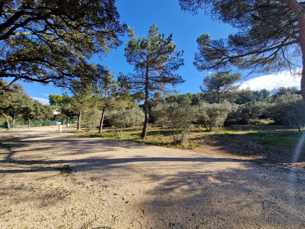 Terrain à CAVAILLON