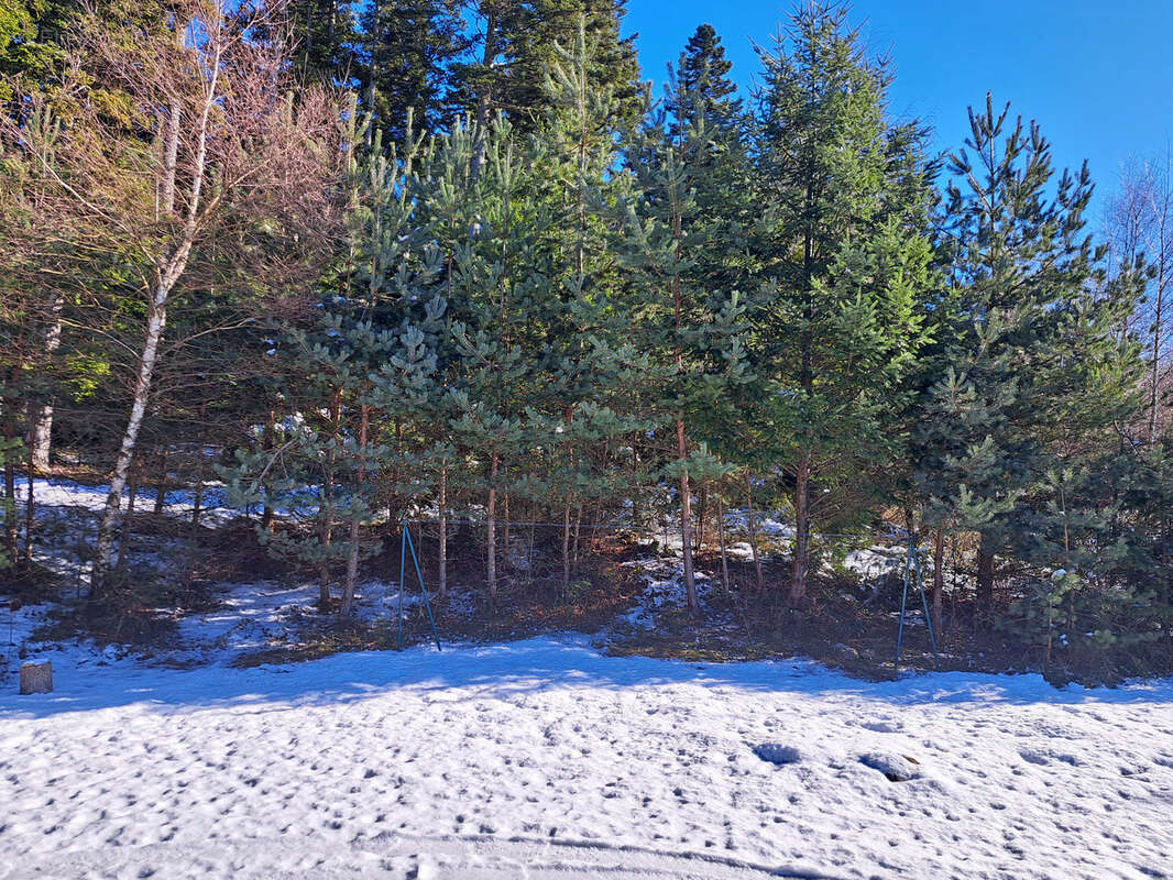 Magnifique Chalet en madrier sur 7259 m2 de terrain - photo 22