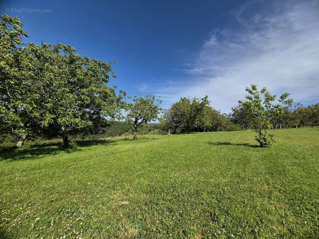 Superbe propriété en pierre de caractère avec gîte, annexe et vue dégagée - photo 22