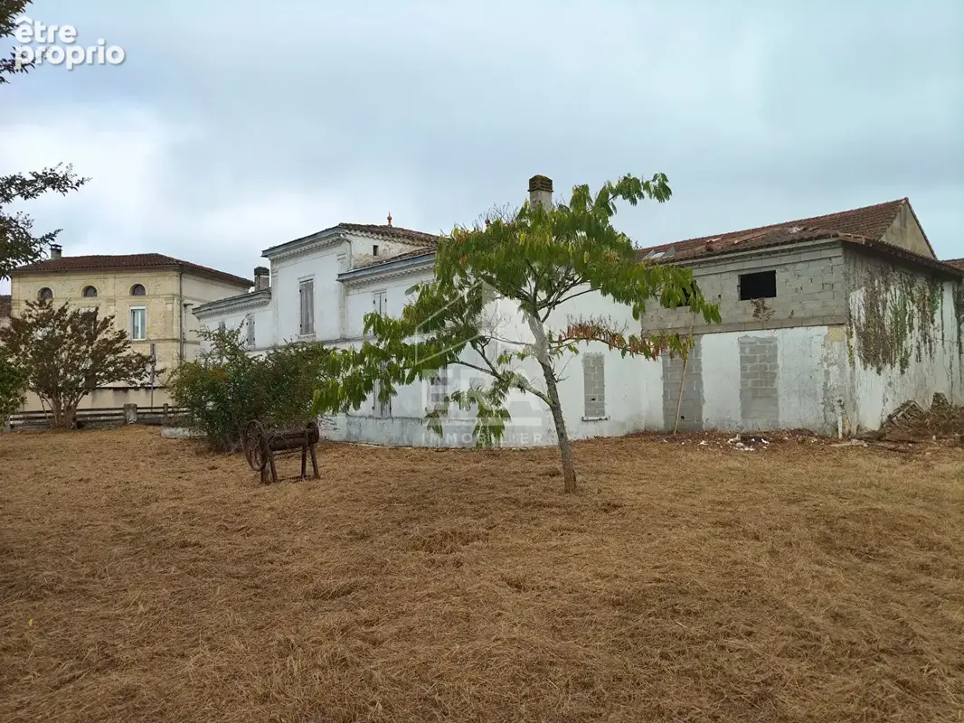 Maison à vendre à Saint Christoly de Blaye - 6 pièces, 236 m² sur 2700 m² de terrain - photo 3