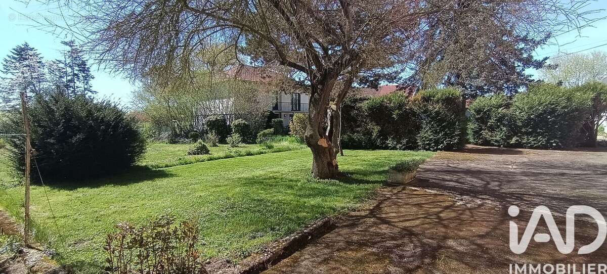 Photo 5 - Maison à LUNEVILLE