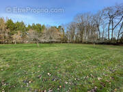 Terrain à MIGNALOUX-BEAUVOIR