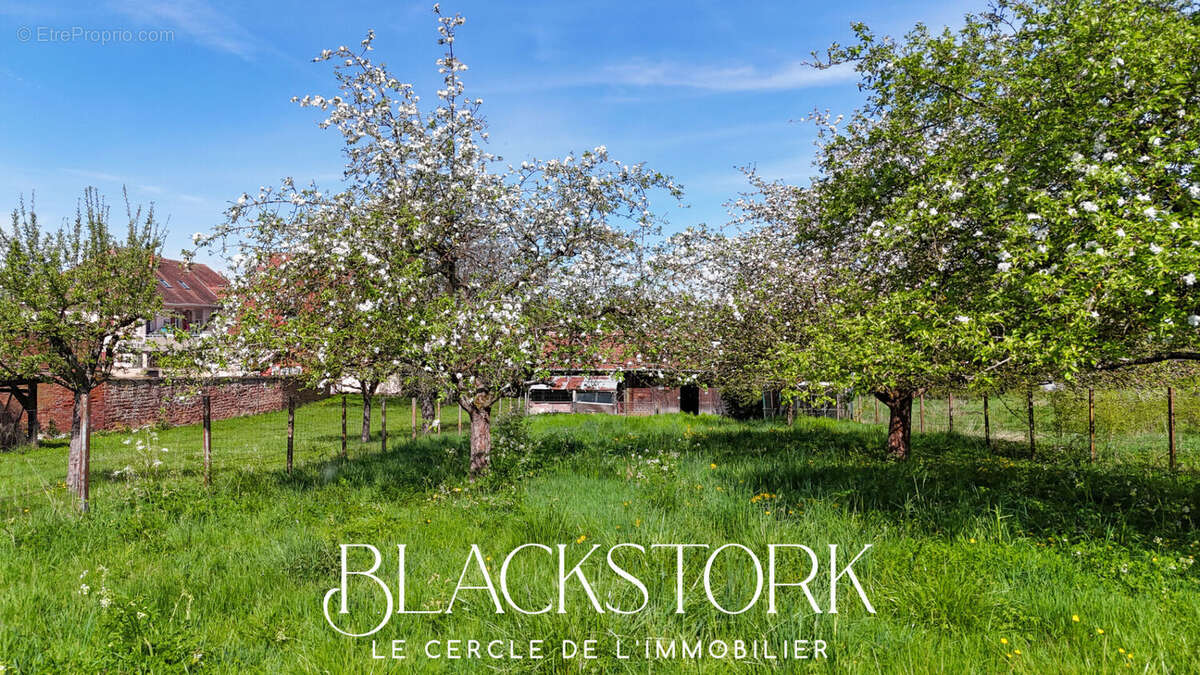 Terrain à BOUXWILLER