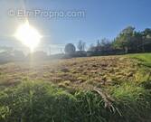Terrain à SAINT-PAULET-DE-CAISSON