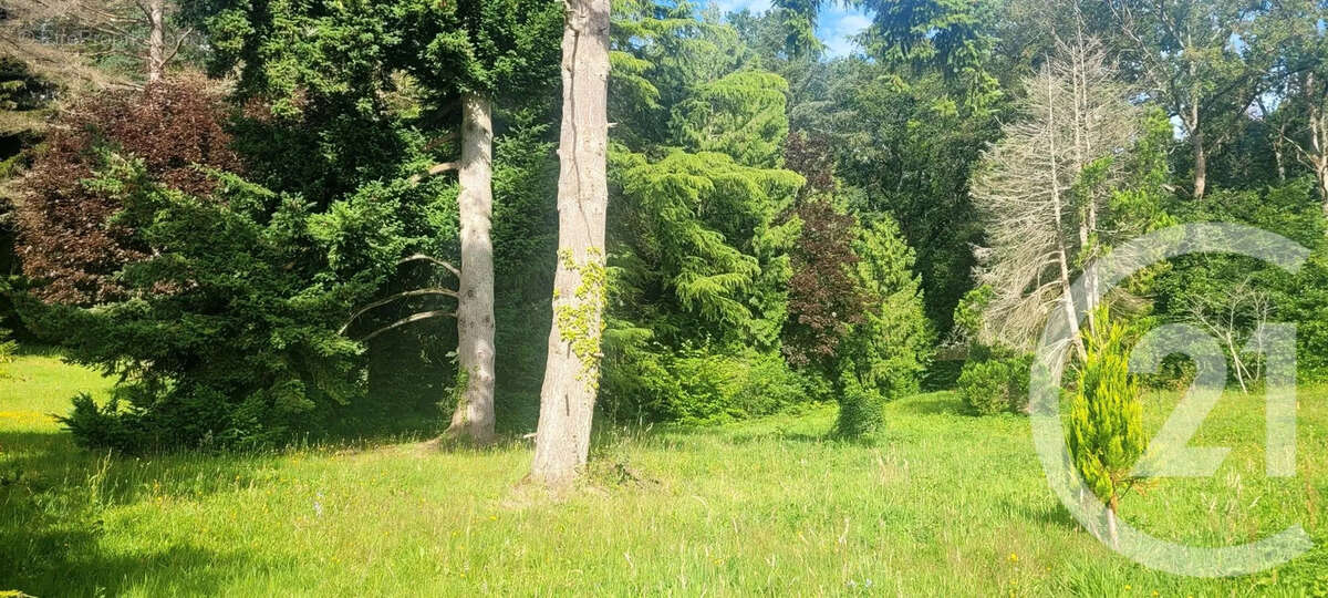 Terrain à SAINT-HILARION