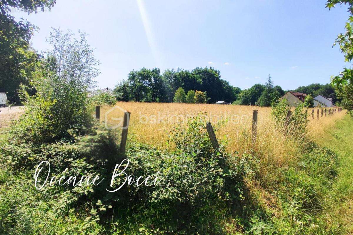  Terrain à bâtir – 2 500 m² – La Margauderie, Saint-Laurent (18330) - photo 5