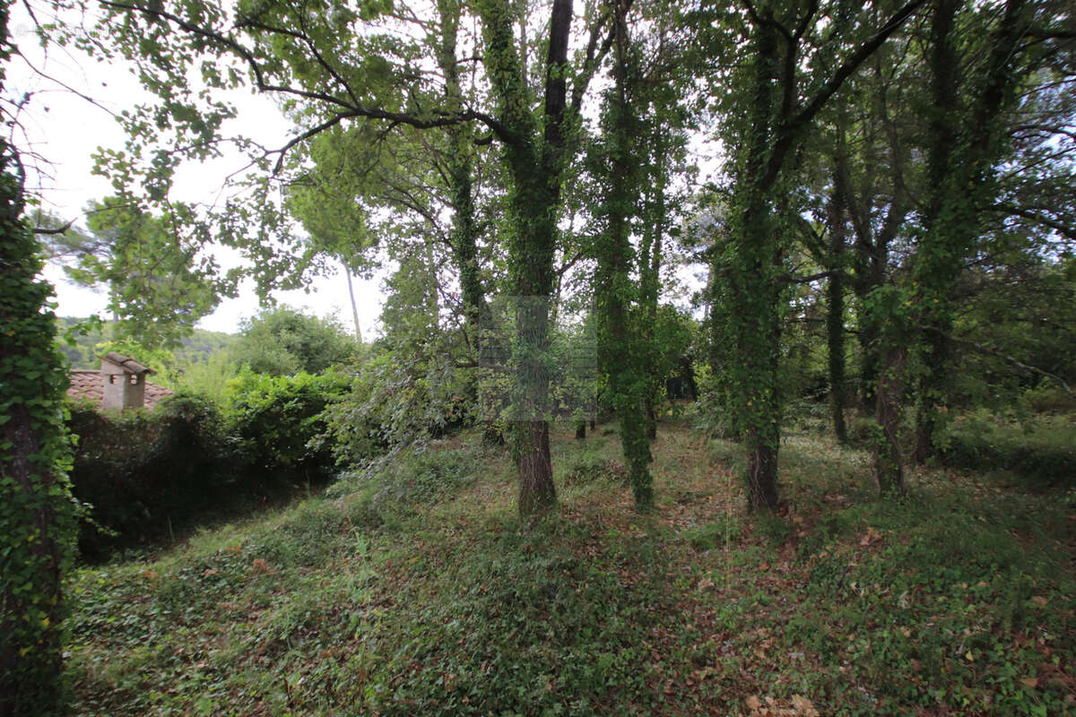 Superbe terrain - 1318m2 - Saint-Paul de Vence - photo 5