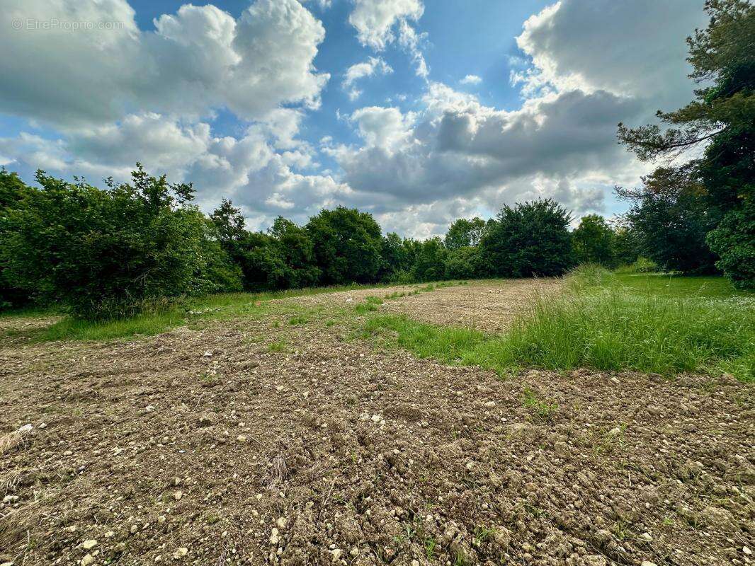 Terrain à MAGNAC-SUR-TOUVRE