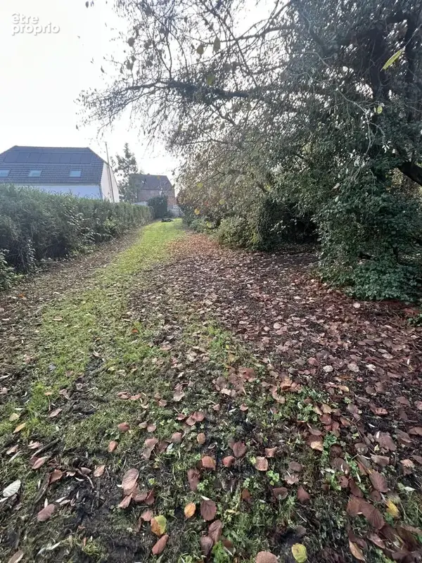 Terrain 2 000 m² à vendre à Flines-Lez-Raches (59148) - photo 6