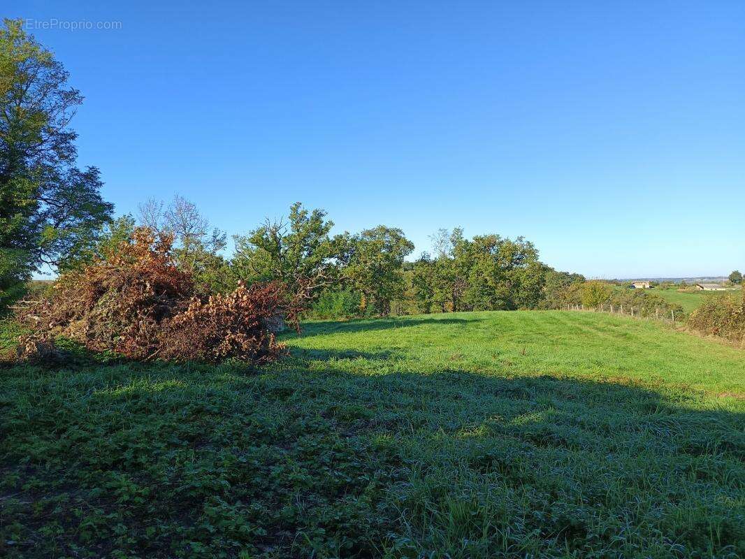 Terrain à MONTDURAUSSE