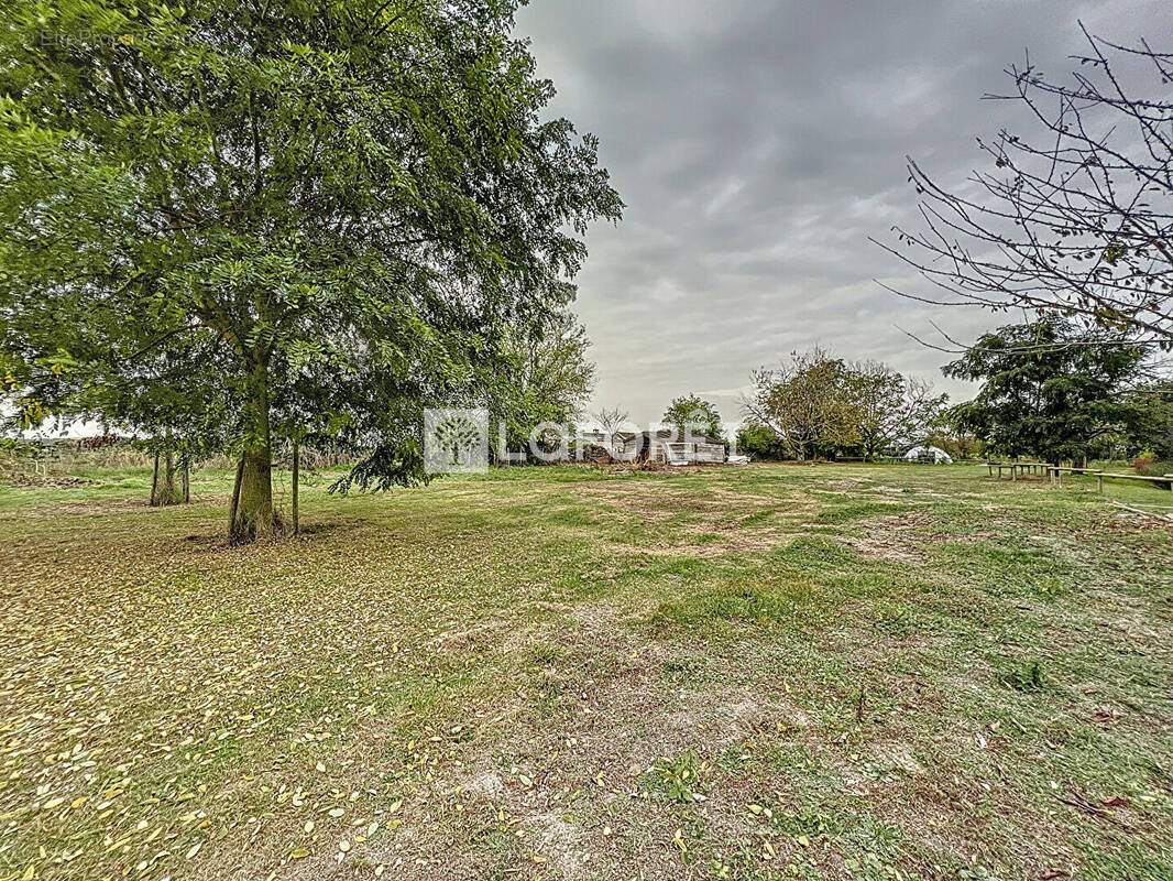 Terrain à DOUE-LA-FONTAINE