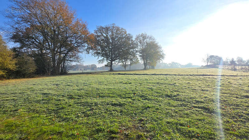 Maison à ORADOUR-SUR-GLANE