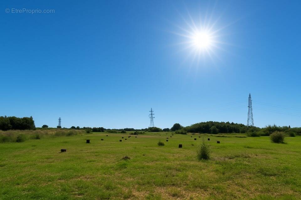 Terrain à PERPIGNAN