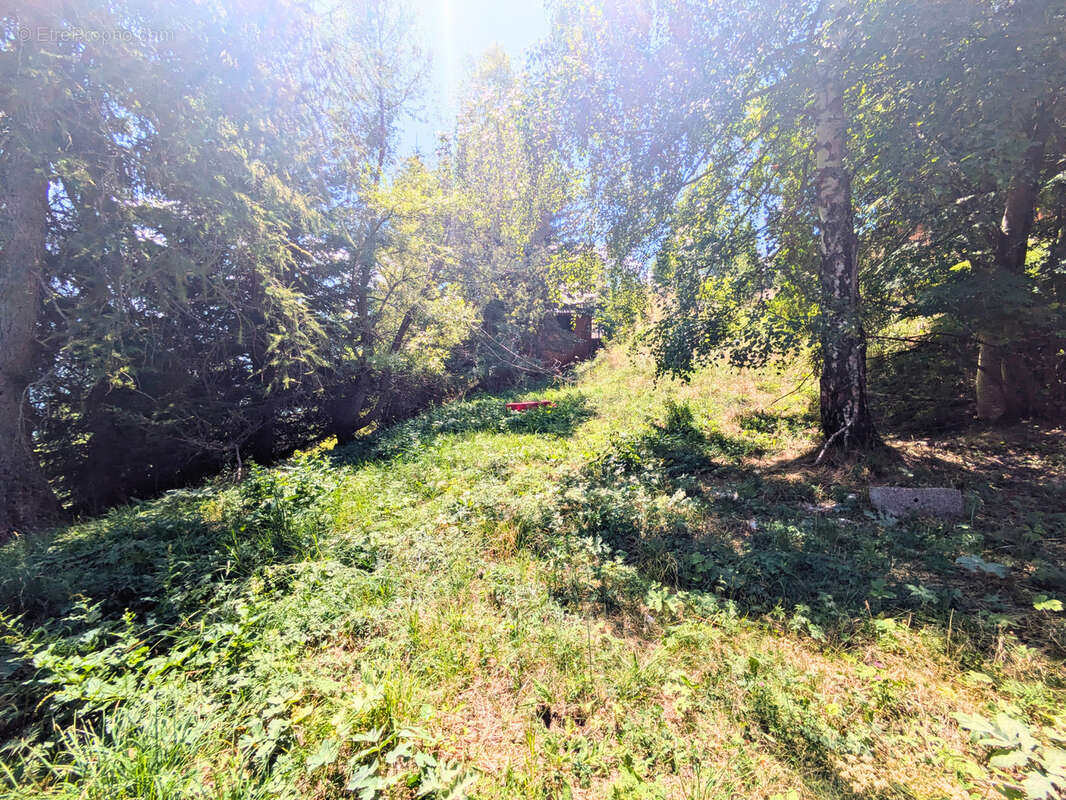 Terrain constructible et viabilisé 450 m2 Station Merlette - photo 3