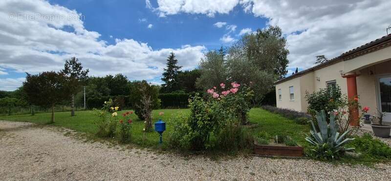 Maison à vendre 6 pièces SAINTE LIVRADE SUR LOT (47)Sainte-Livrade-sur-Lot – Belle propriété familiale sur 3 000 m² de terrain a - photo 16