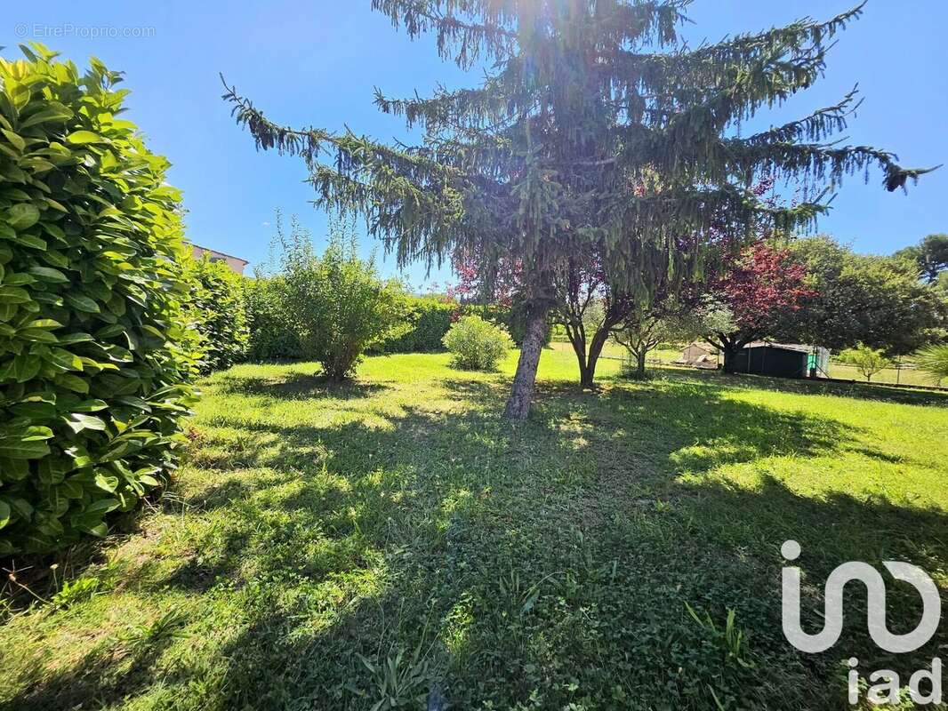 Photo 8 - Maison à BEDOIN