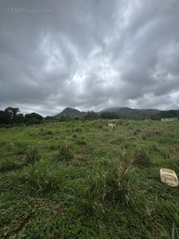 Terrain à CAPESTERRE-BELLE-EAU