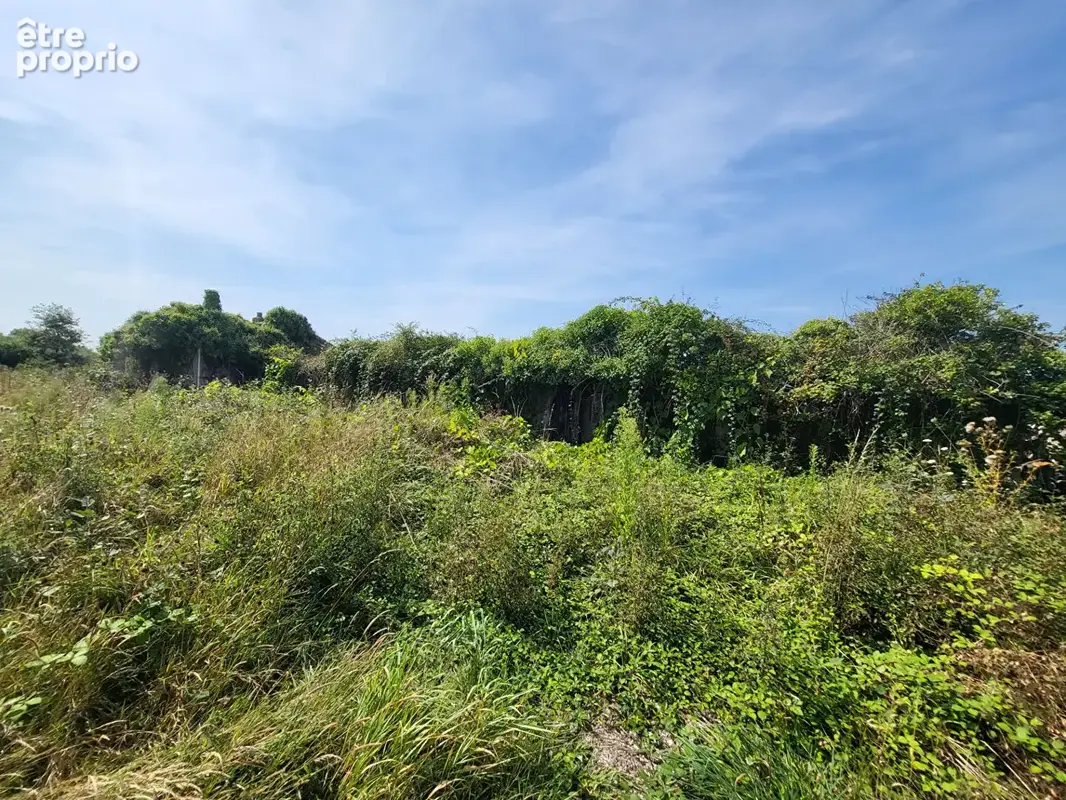 RARE bord de Mer, longère à rénover de plus de 287 m² hab. - photo 3