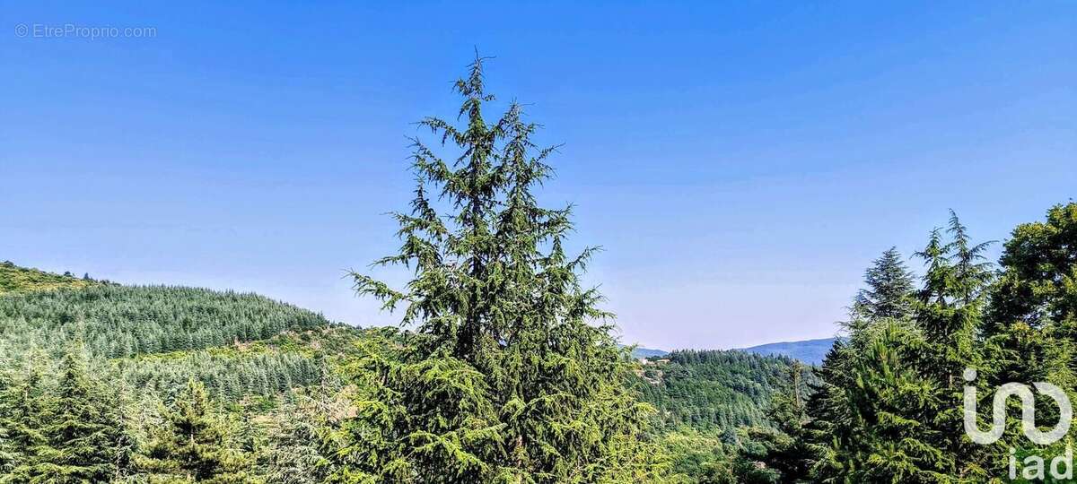 Photo 4 - Terrain à AULAS