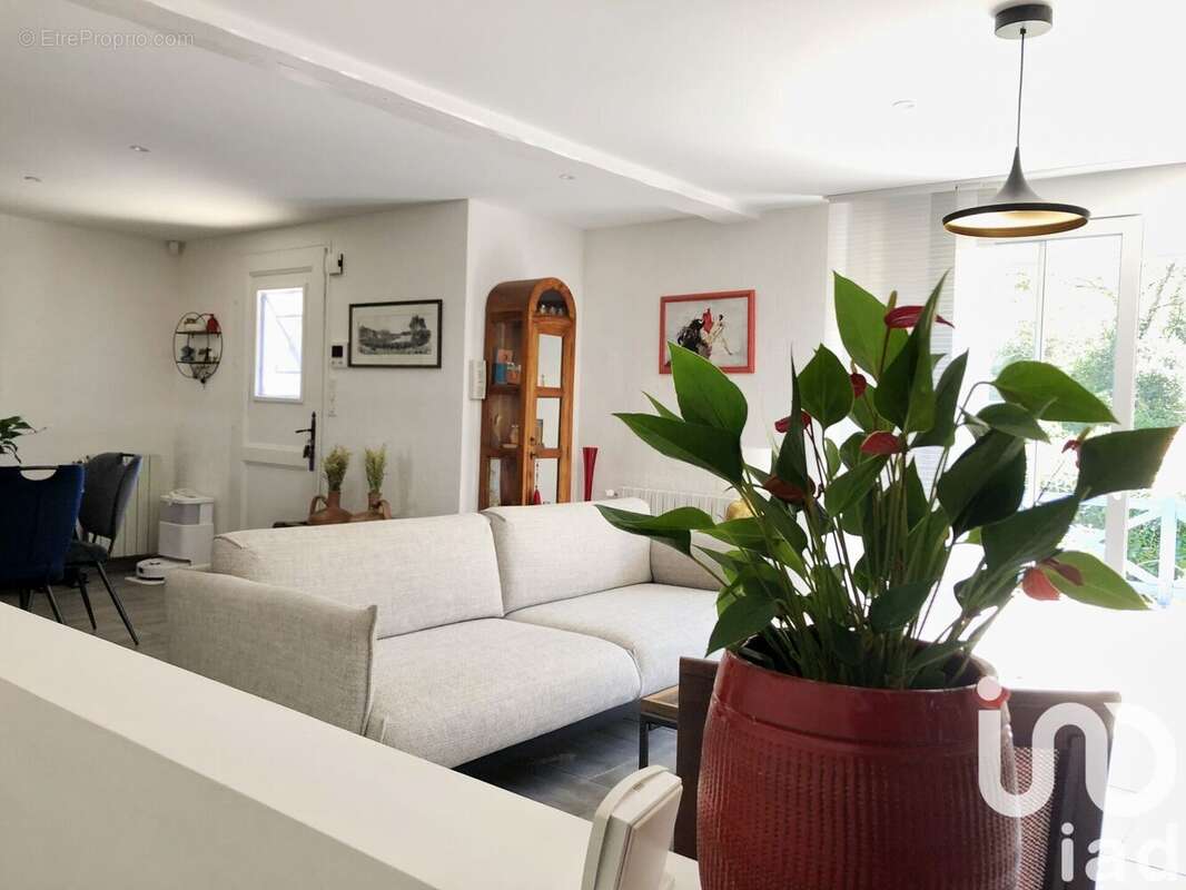 Photo 4 - Maison à SAINT-PIERRE-D'IRUBE