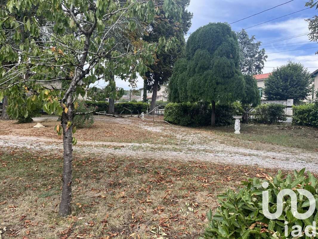 Photo 6 - Maison à CASTRES