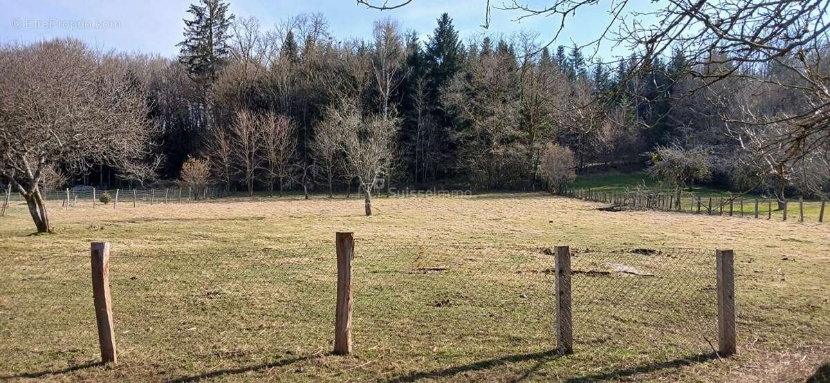 Maison à MONTESSAUX