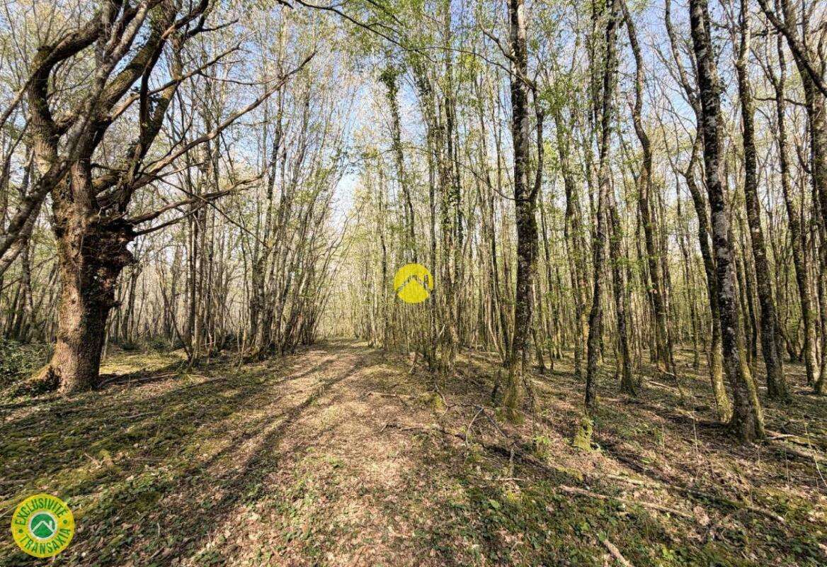 Terrain à MAREUIL-SUR-ARNON