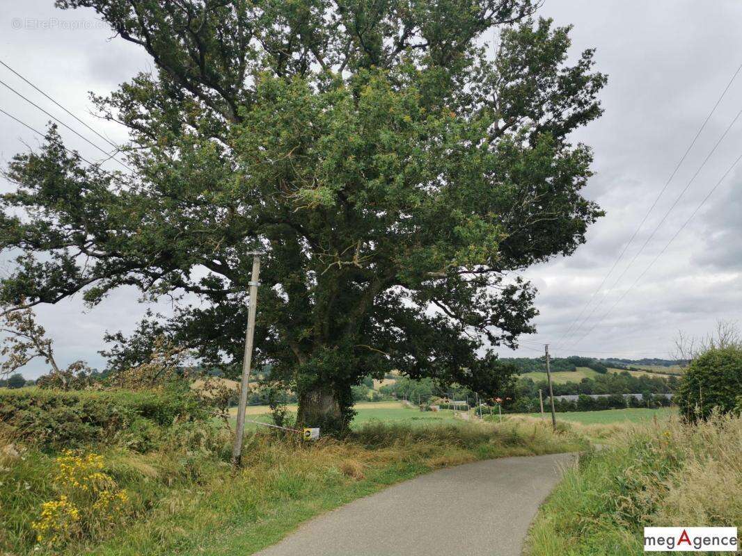 Terrain de 4817 m² constructible vue panoramique - photo 2