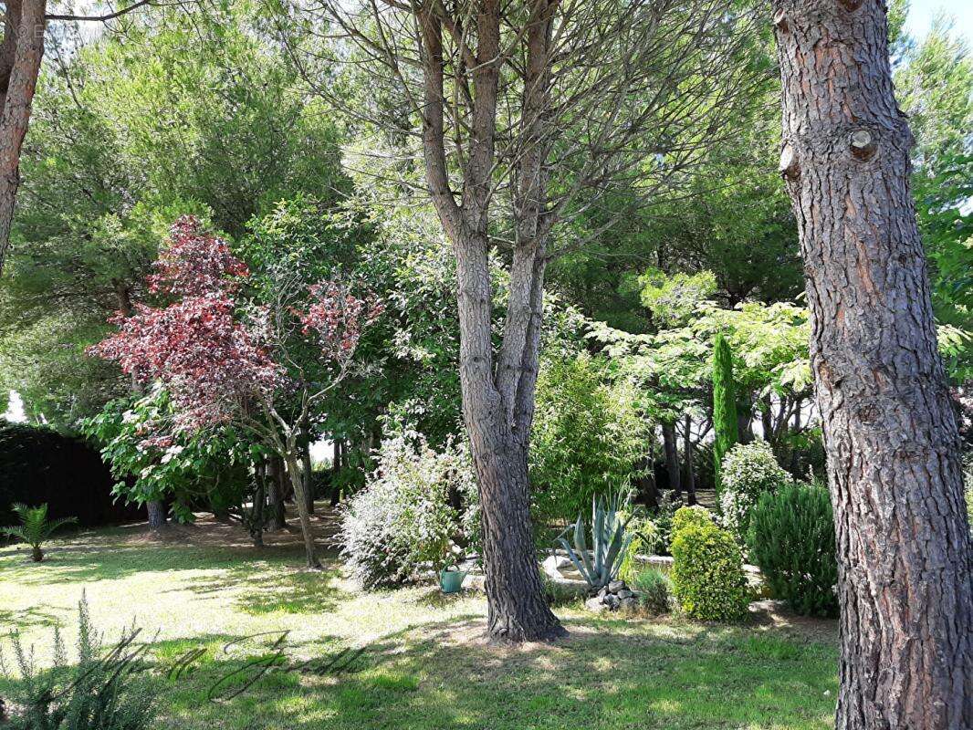 Maison à SAINT-REMY-DE-PROVENCE