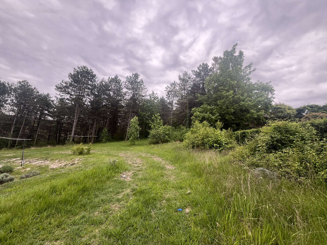 Terrain à BASSILLAC