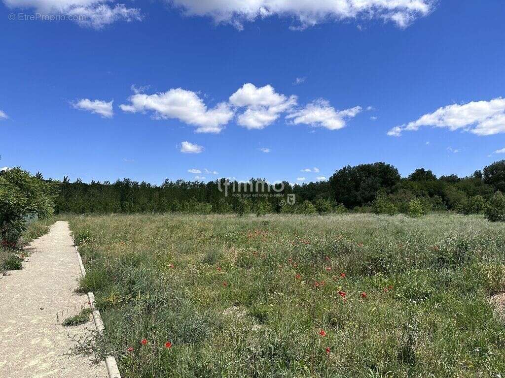 Terrain à CESSENON-SUR-ORB