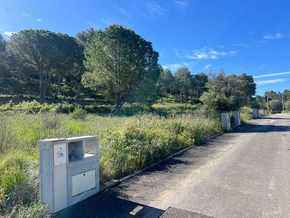 Terrain à CAVEIRAC