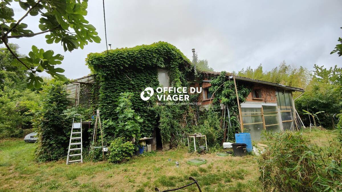 Maison à BERAT