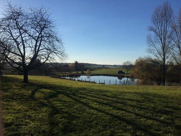 Terrain à LANOUAILLE