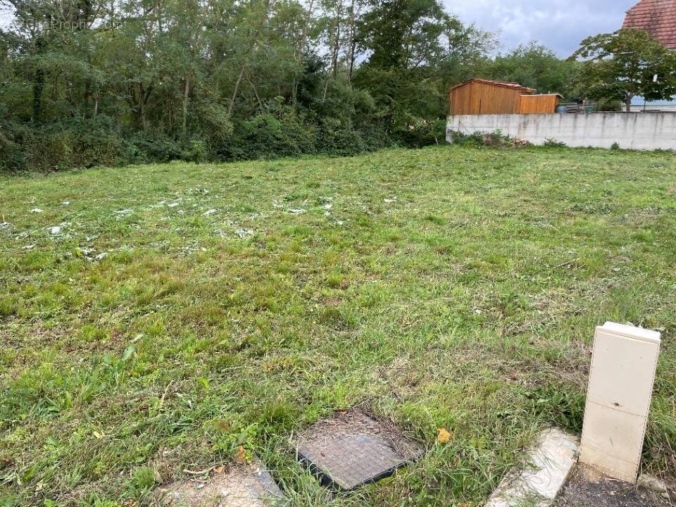Photo Terrain à Issenheim au prix de 88 500€