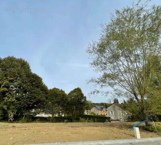 Terrain à SAINTINES