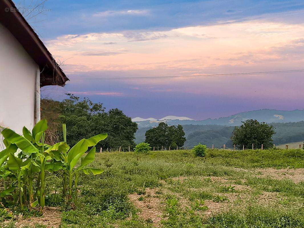 Maison d'architecte 307 M2, TERRAIN 6000 M2 - photo 6