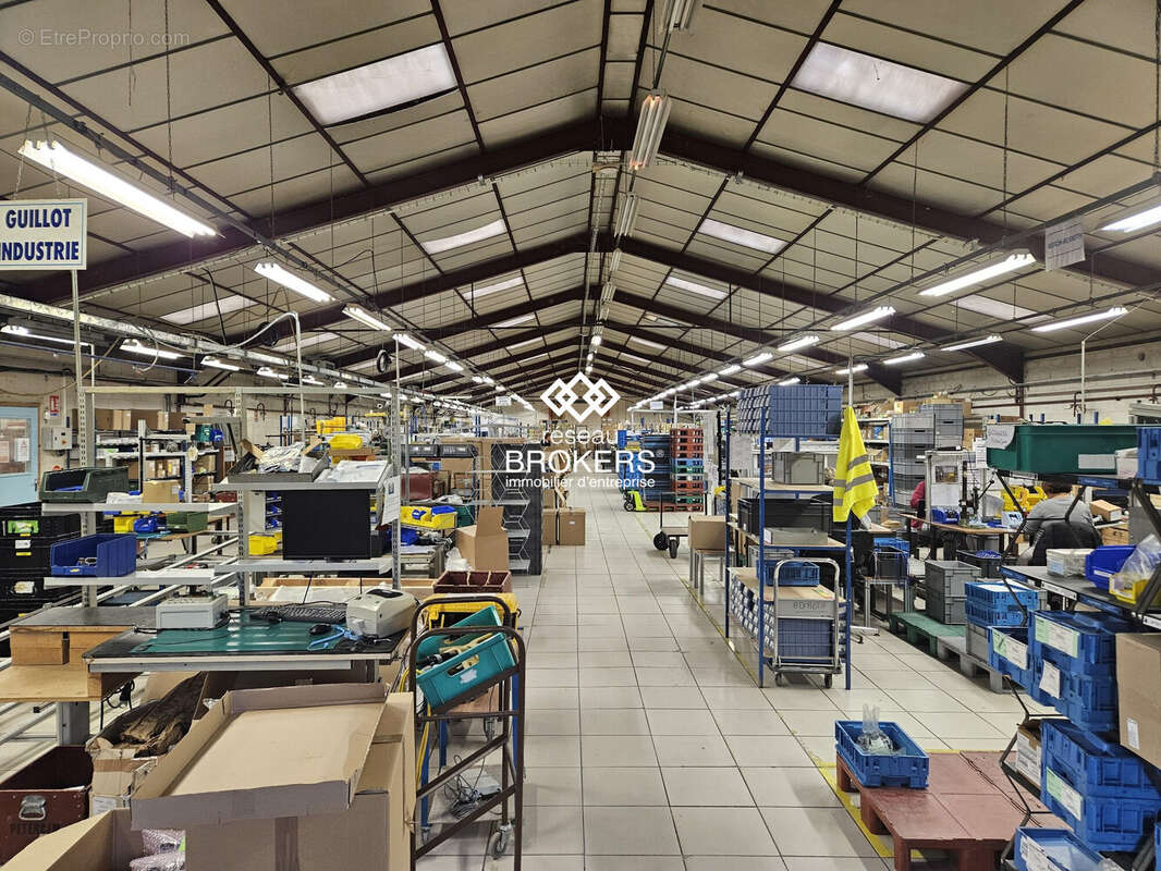 Commerce à SAINT-TRIVIER-DE-COURTES