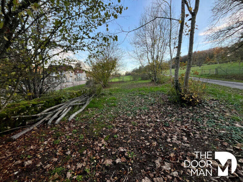 Maison à VESAIGNES-SUR-MARNE