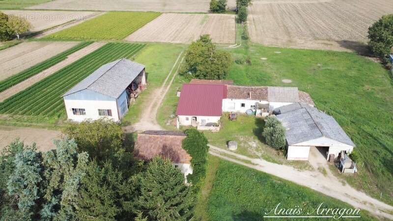 Propriete à vendre 5 pièces SAINT SYLVESTRE SUR LOT (47) - photo 3